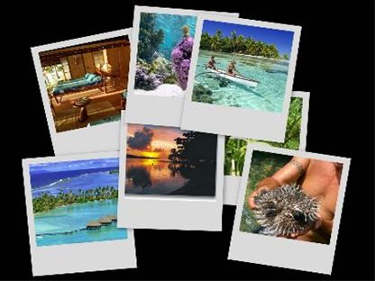 Photos